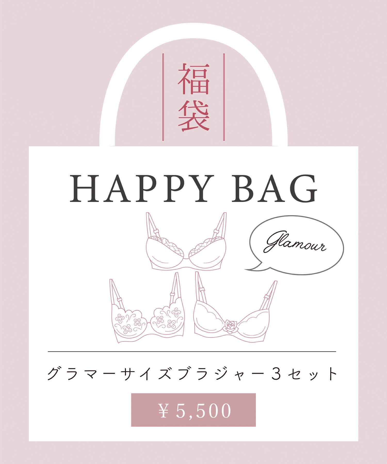 グラマーサイズブラ福袋