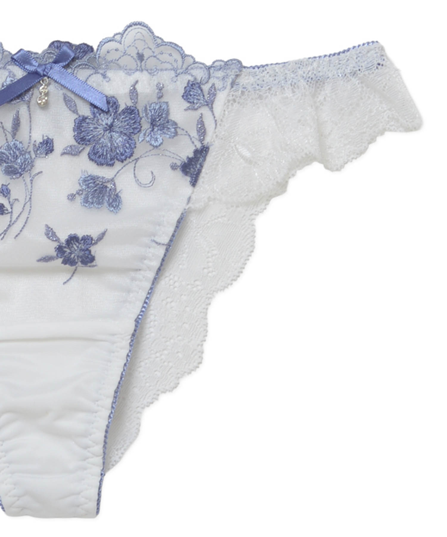 ナディアTショーツ_ランジェリー・下着-ショーツ-Tショーツ_ブルー_1